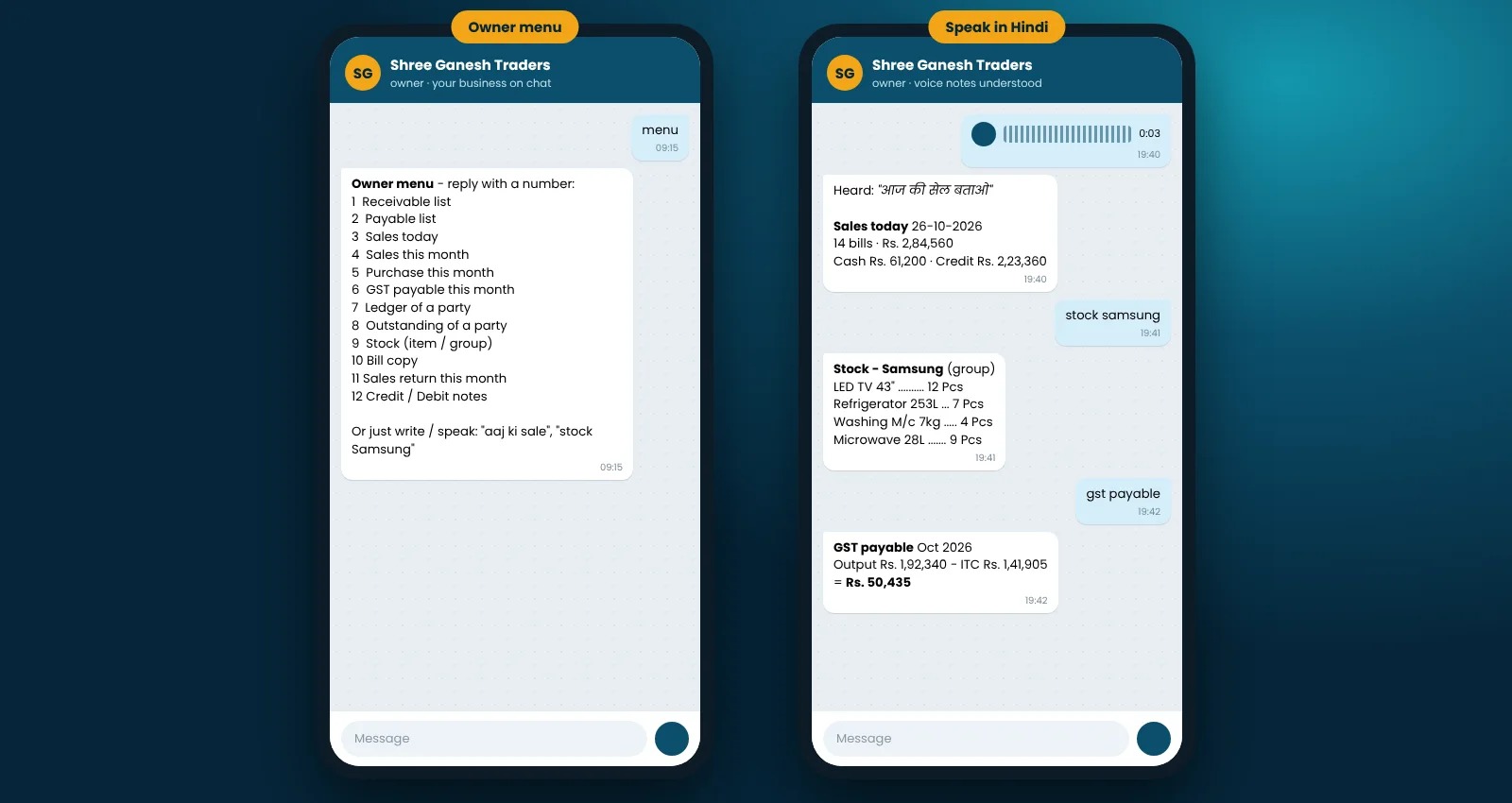 BNM Chat Bot owner menu and Hindi voice